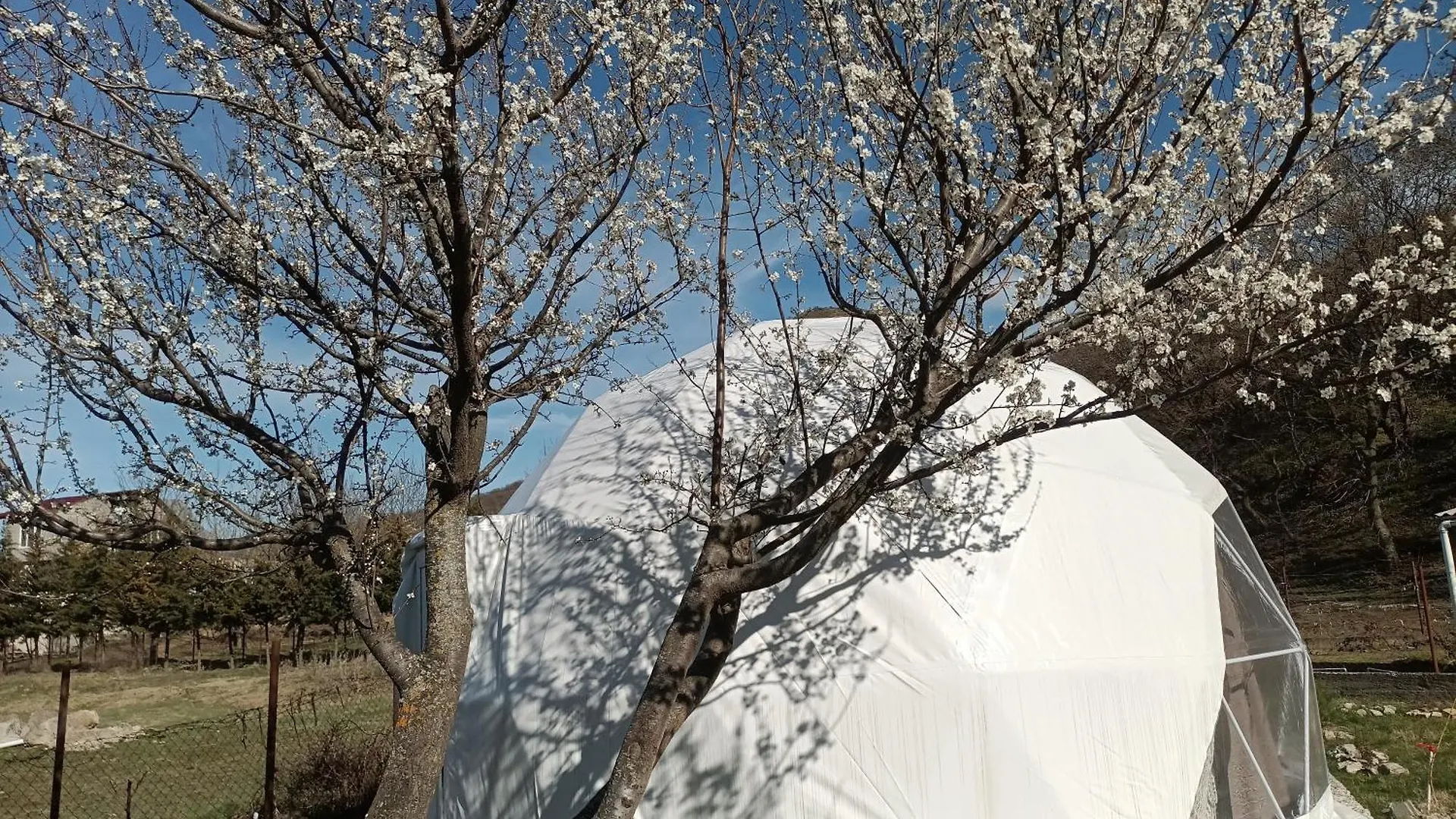 Lüks kamp alanı Ze Oni Glamping Otel Tiflis Gürcistan